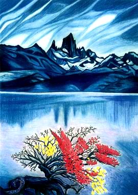 Colors in the Winter