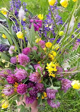 Clover and wildflowers