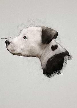 Pitbull Puppy Portrait