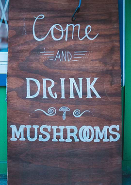 Come and drink mushroom