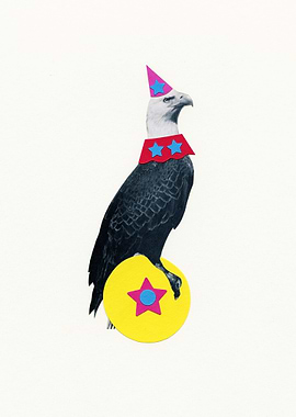 Animal Circus Part 2