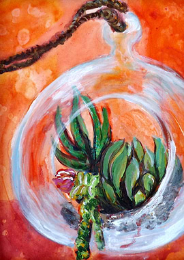 Succulents in Sphere