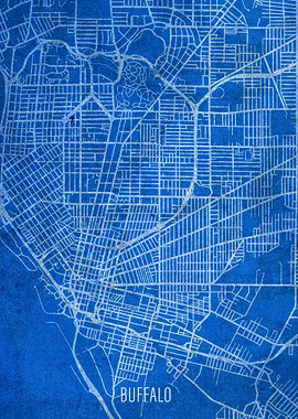 Buffalo City Street Map