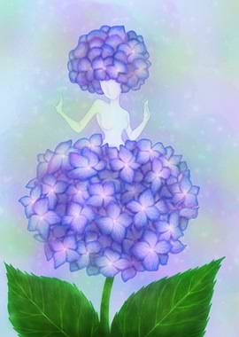 The Grace of Hydrangea