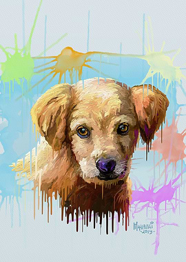 Cute Drippy Puppy