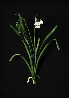 Vintage Summer Snowflake