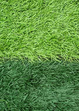 Horizontally different