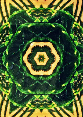 Artistic Nature Atomic