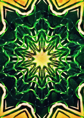 Artistic Nature Mandala