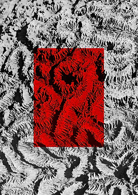 Red Macros of Nedunteevu