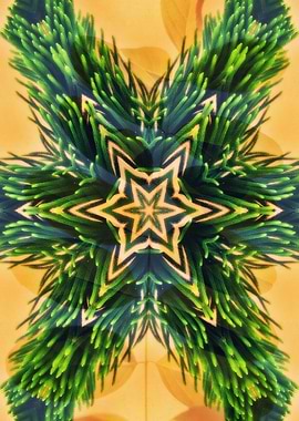 Artistic Nature Hexane