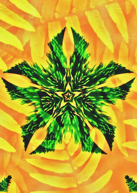 Artistic Nature Pentagon