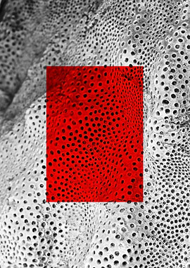 Red Macros of Nedunteevu