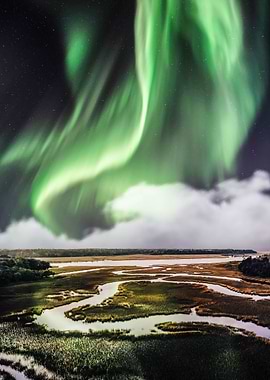 Aurora and the meadow