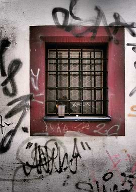 Looking for their owner