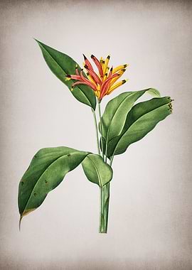 Vintage Lobster Claws