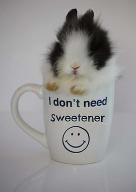 I dont need sweetener