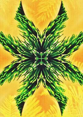 Artistic Nature Carbon