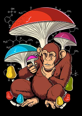 Psychedelic Mushrooms Trip