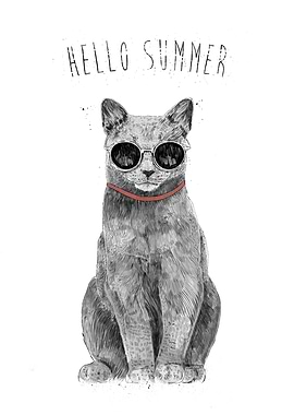Hello Summer
