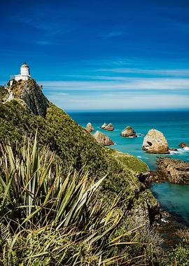 Nugget Point