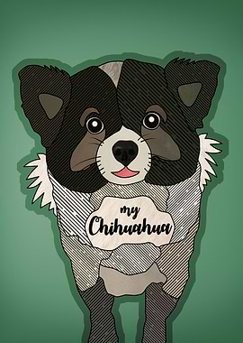 My Chihuahua