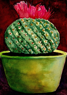 Little Green Cactus