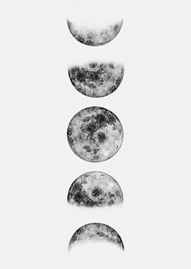 Moon Phases