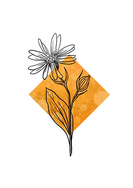 Wildflower on Yellow