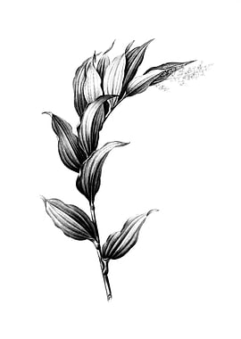 Vintage Engraved Floral