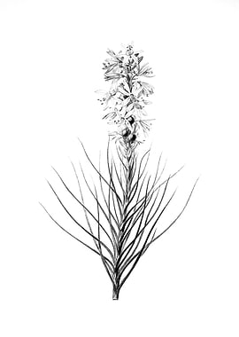 Vintage Engraved Flower