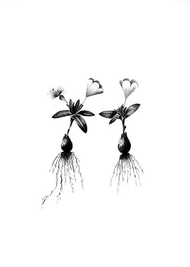 Vintage Engraved Botanical