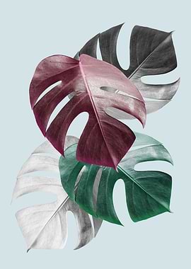 Tropical leaves