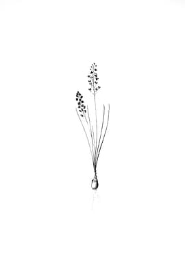 Vintage Floral Engraving