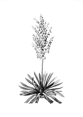 Vintage Floral Engraving