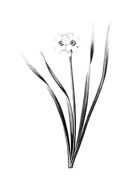 Vintage Engraved Flower