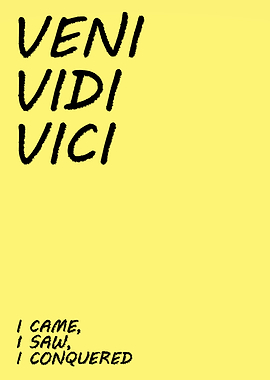 I Came I Saw I Conquered