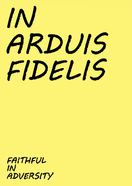 Faithful In Adversity