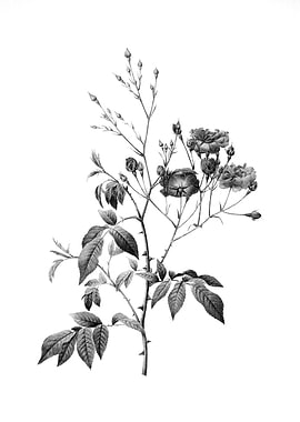 Vintage Engraved Flower