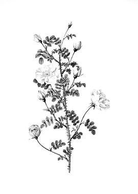 Vintage Engraved Flower