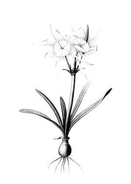 Vintage Engraved Floral