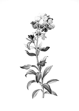 Vintage Engraved Flower