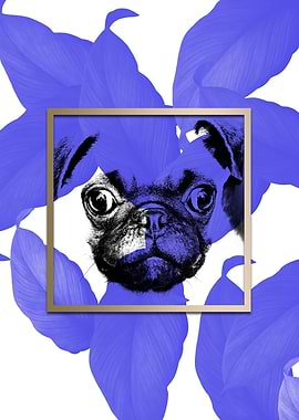 Colourful Pug Dog Modernis