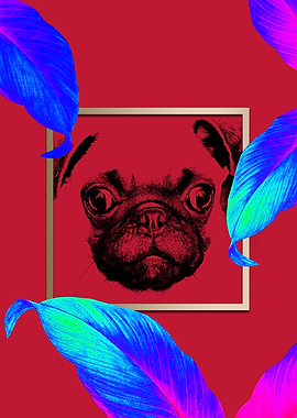 Colourful Pug Dog Modernis