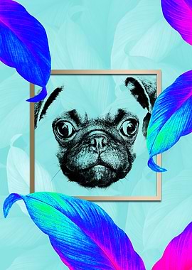 Colourful Pug Dog Modernis