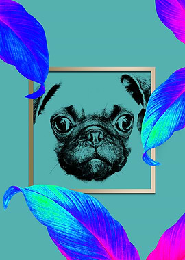 Colourful Pug Dog Style