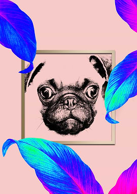 Colourful Pug Dog Style