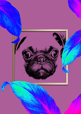 Colourful Pug Dog Style