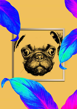 Colourful Pug Dog Style