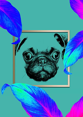 Colourful Pug Dog Style